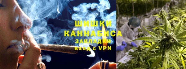 ГАЛЛЮЦИНОГЕННЫЕ ГРИБЫ Надым