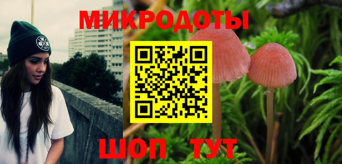Борисоглебск  Галлюциногенные грибы прущие грибы  Вход с VPN 
