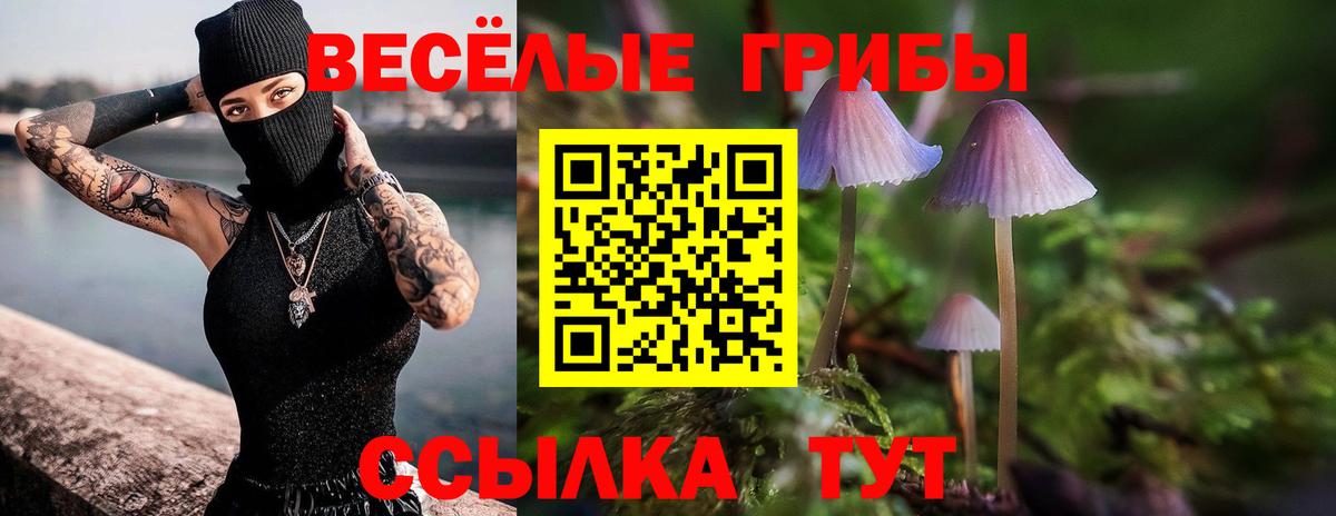 Псилоцибиновые грибы Psilocybine cubensis Борисоглебск