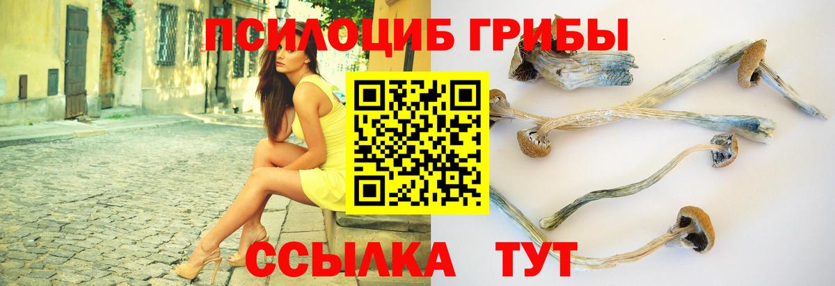 Галлюциногенные грибы мицелий  Борисоглебск  Галлюциногенные грибы прущие грибы 